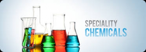 Speciality chemical company is looking to sell its plant in Mumbai, India